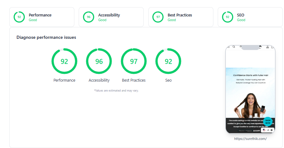 SureThik PageSpeed report after optimisation