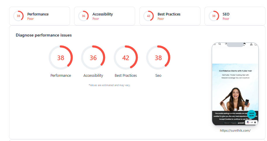 SureThik PageSpeed report before optimisation