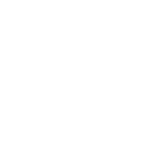 Blooms Art